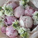 IMG_7692.webp