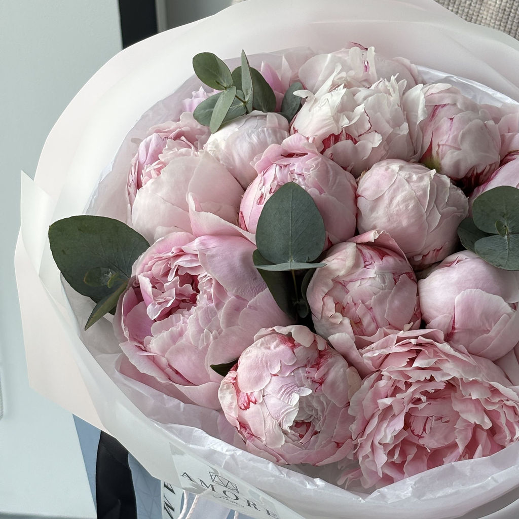 IMG_7793.webp