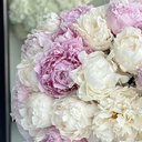 1125 AED- 25 pcs of Peony white & pink 2.webp