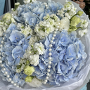 IMG_1932.webp