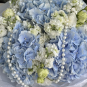 IMG_1934.webp
