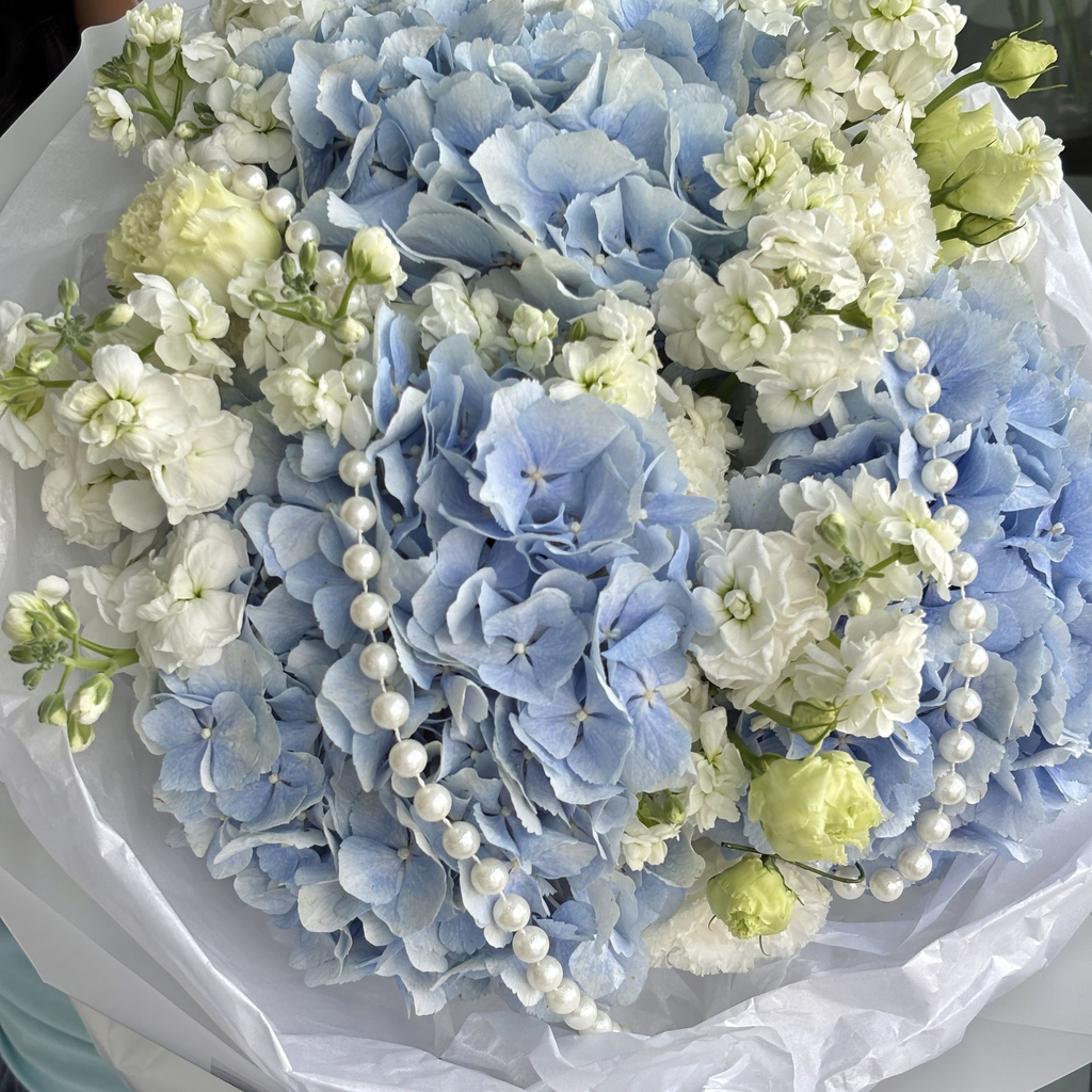 IMG_1931.webp