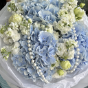 IMG_1931.webp