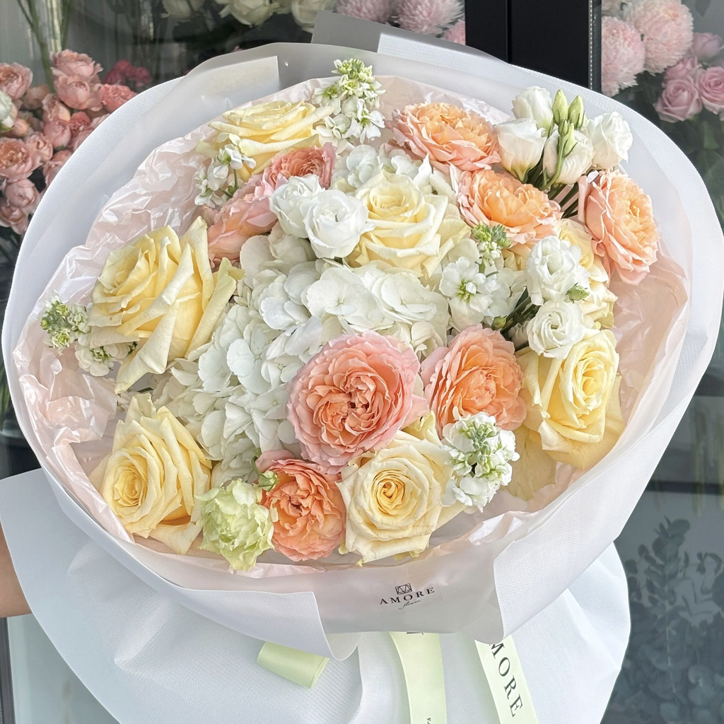 copy_100C43AB-91DE-4635-AB02-B576F3327580.webp