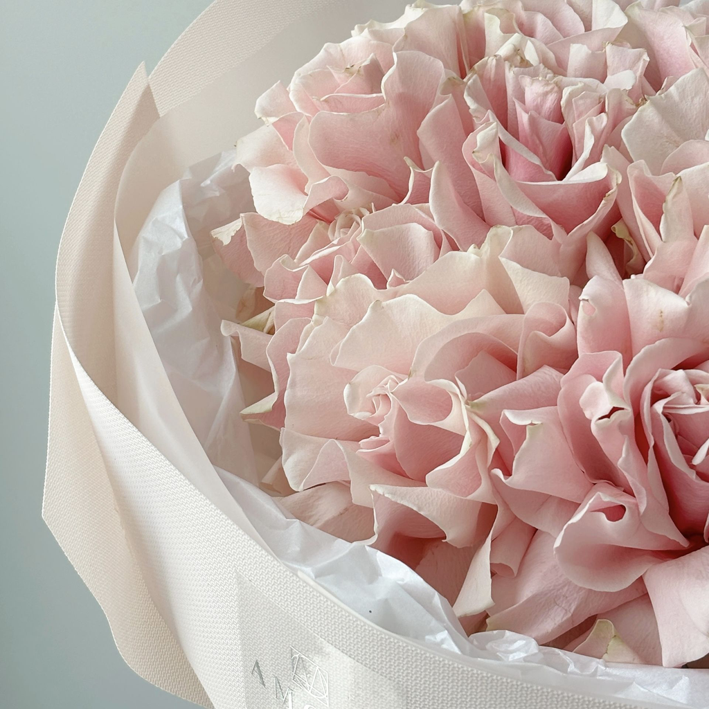 copy_86C3C1A7-17A1-47FA-A17A-4070EFB34F84.webp