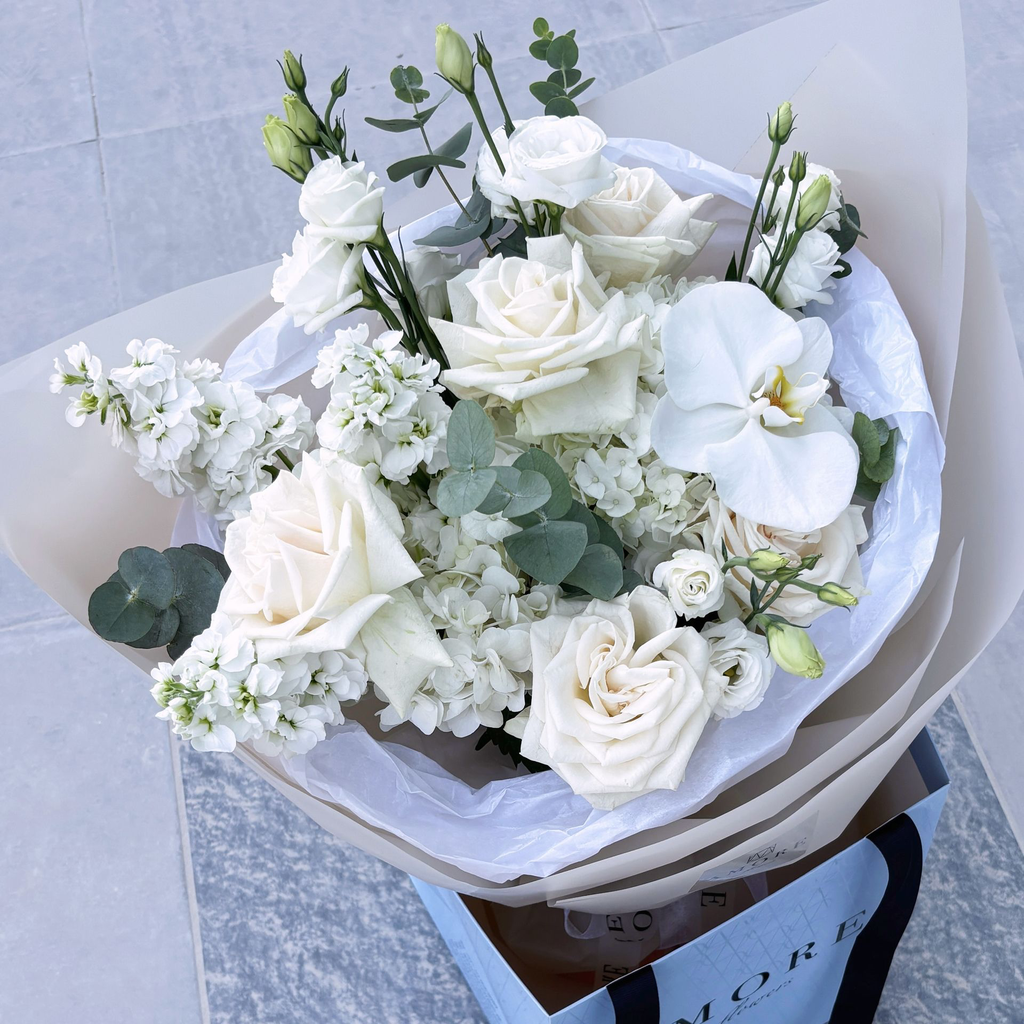 copy_51B8A50F-60BC-4871-80CF-92A42E2E7889.webp