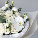 copy_9F426F0D-A3DF-46D8-9ADE-3FCDEFC588B1.webp