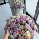 IMG_1710.webp