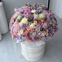 IMG_7976.webp