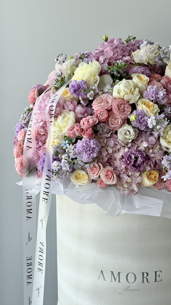 IMG_7904.webp