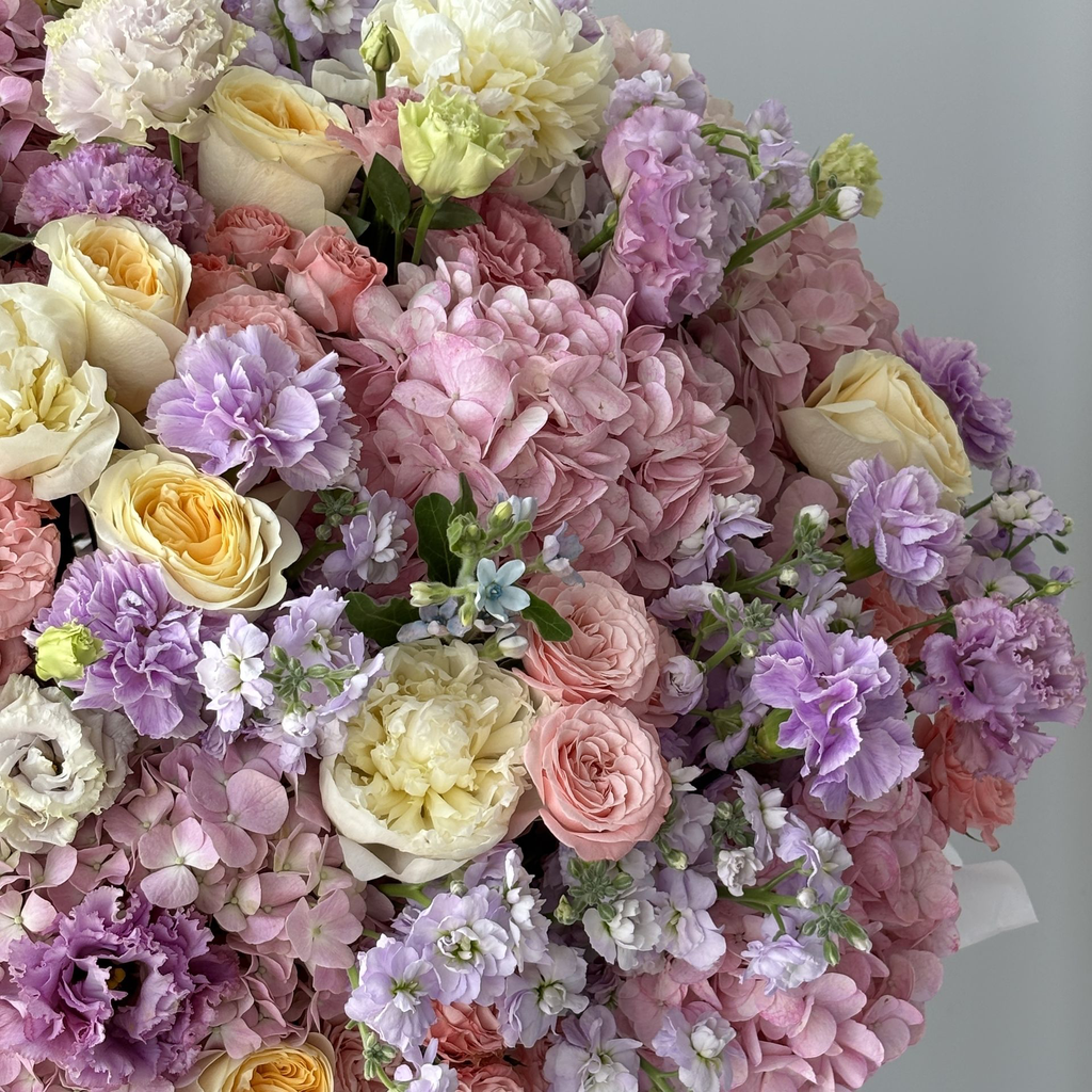 IMG_7941.webp