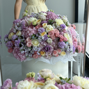 IMG_1644.webp