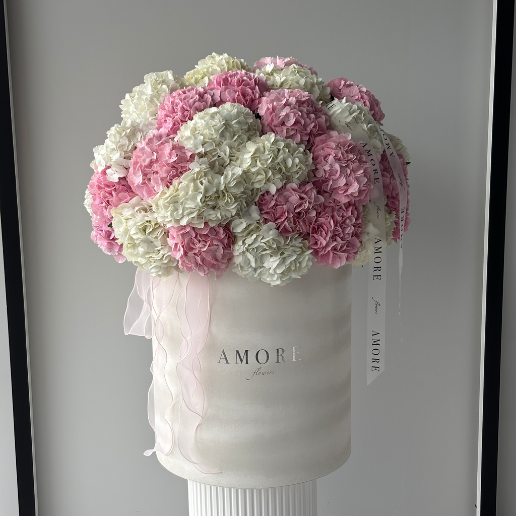 Blush Cloud Grand Box