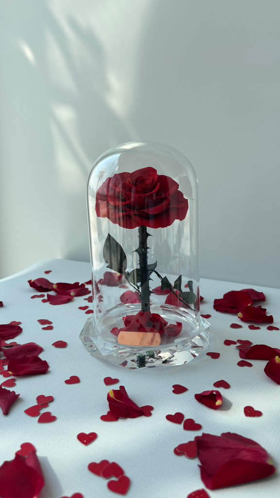 Forever Rose Single - Red