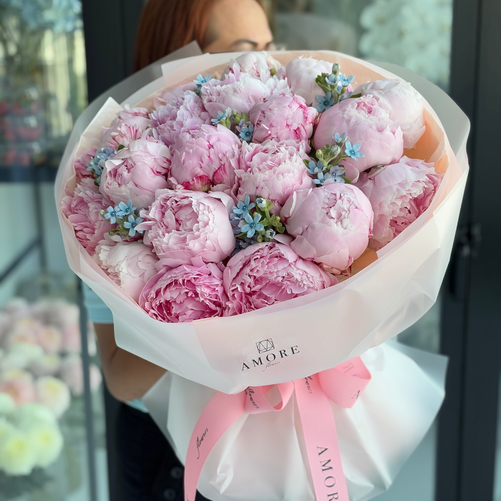 Blush Peony Dream