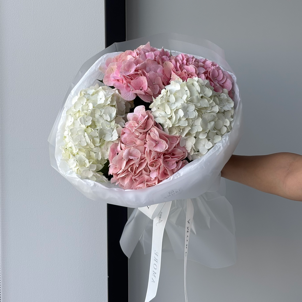 Pinky White Hydrangea