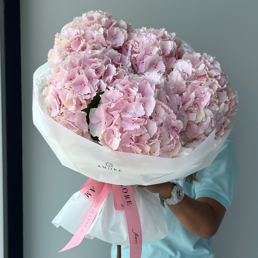 5 Pink Hydrangeas