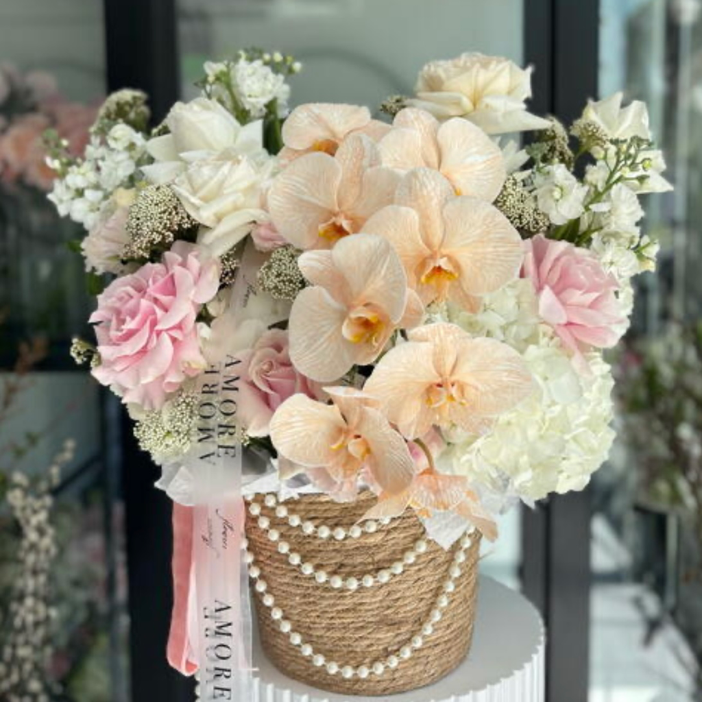 Orchid Elegance