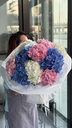 Heavenly Bloom